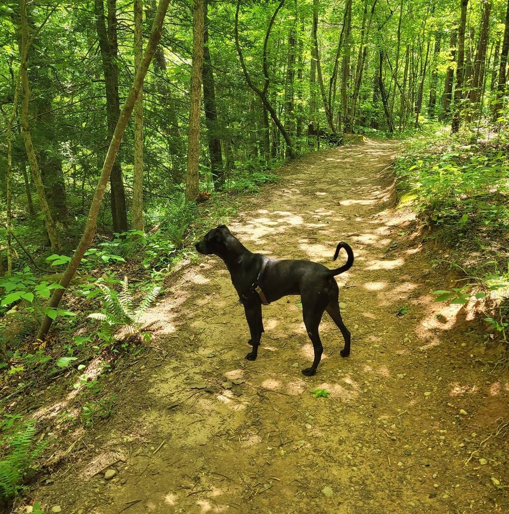 Meet your Posher, Kelly